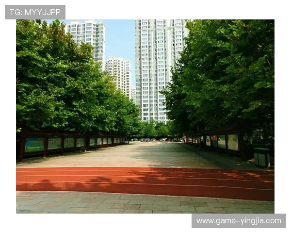 乐天体育用户评价与反馈：真实用户体验助你更好了解平台优劣